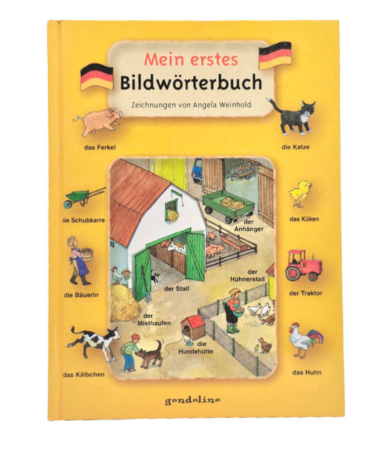 Lernbuch  Gondolino  Mein erstes Bildwörterbuch Zustand Gut