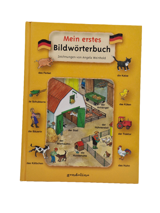Lernbuch  Gondolino  Mein erstes Bildwörterbuch Zustand Gut