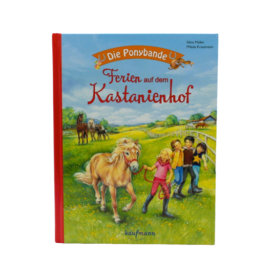 Grundschul-Buch - Kaufmann - Die Ponybande - Ferien auf dem Kastanienhof -  Zustand sehr gut