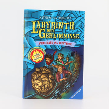 Grundschul-Buch - Labyrinth der Geheimnisse - NEUWARE