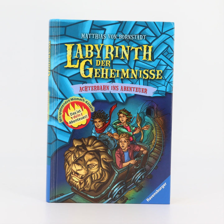 Grundschul-Buch - Labyrinth der Geheimnisse - NEUWARE